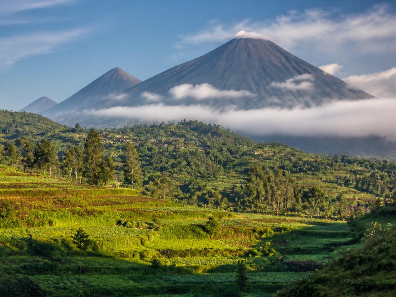 Rwanda Tours